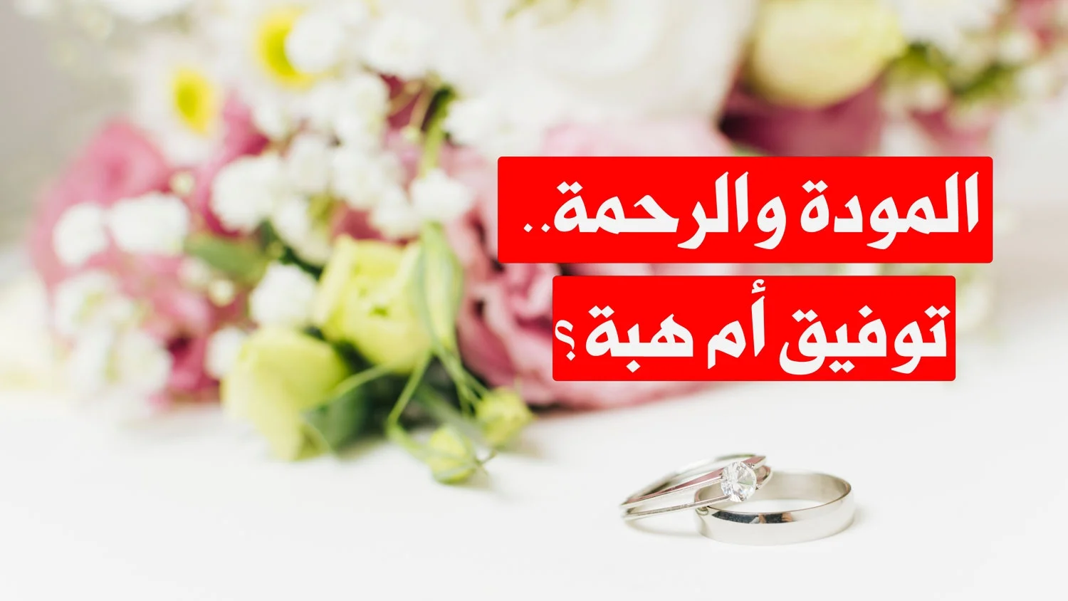 المودة والرحمة.. توفيق أم هبة؟